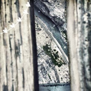 Meet your Posher, Audrey